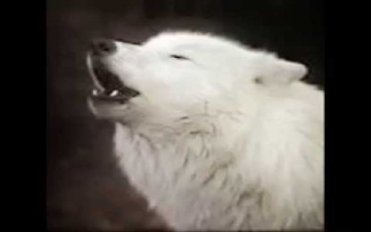 БТР - Оловният войник