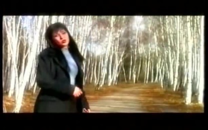 Южен Вятър - Как тихичко си капеха листата