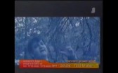 Радо Шишарката & Щилиян & Тони Дачева - Когато слънцето се скрие зад камбаните